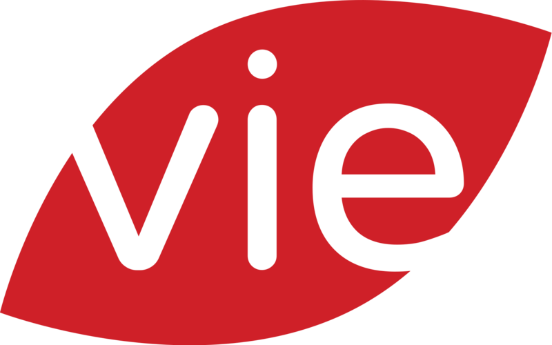Canal Vie 2016 logo