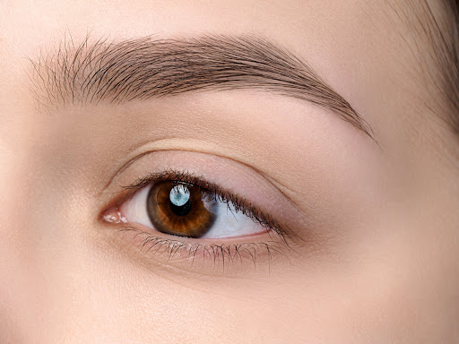 How Long is Recovery After a Brow Lift?